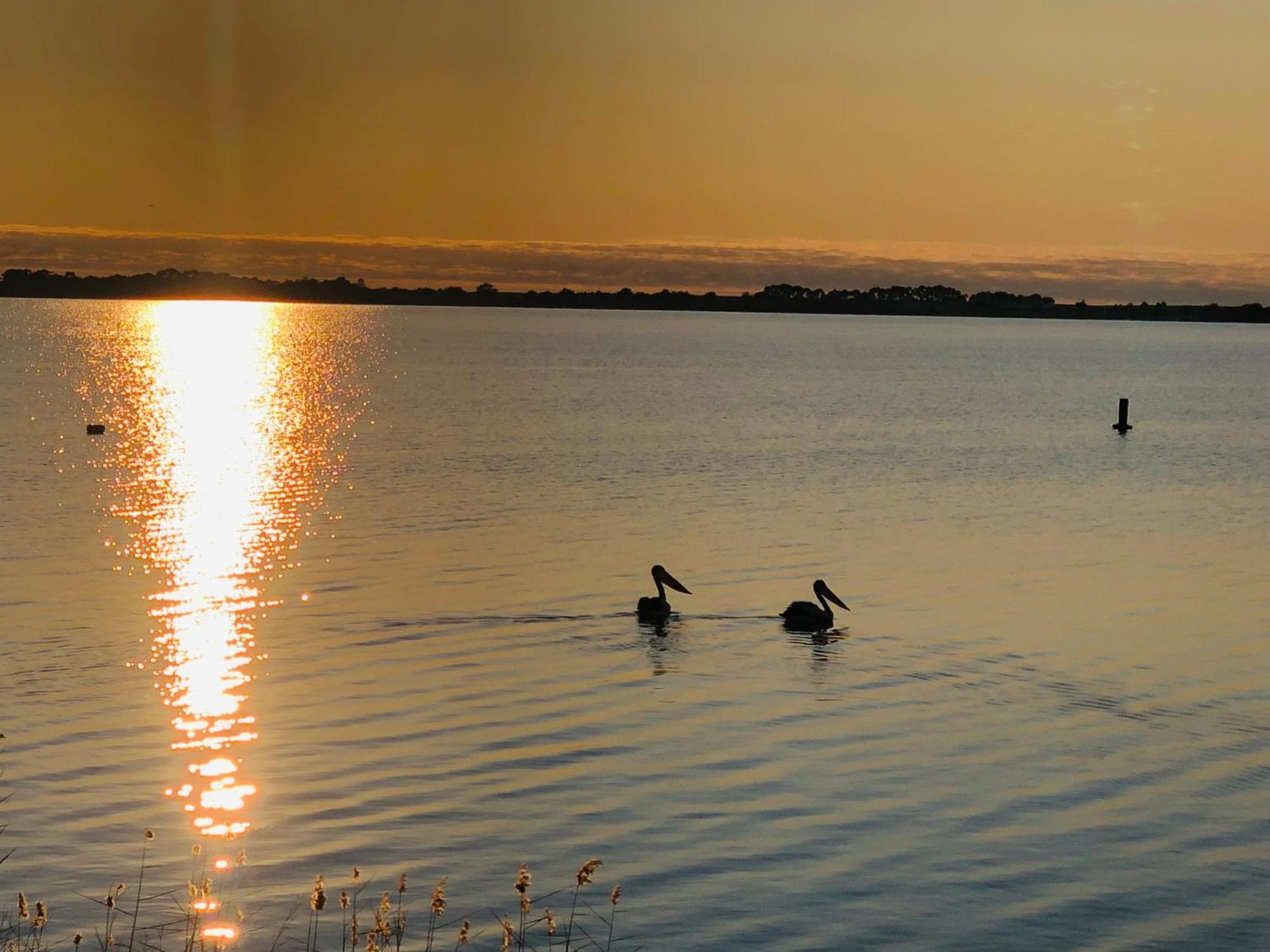 Lake Boga Caravan Park Exteriér fotografie